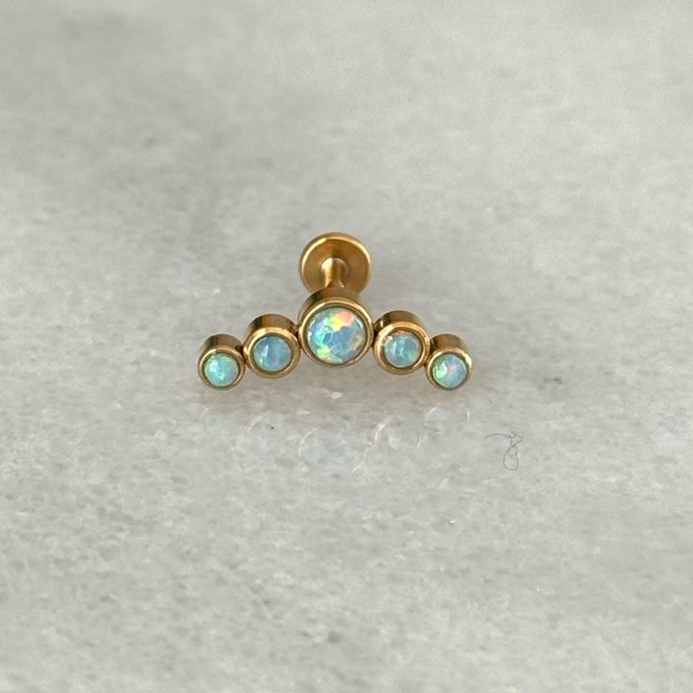 COPY - COPY - Gold Turquoise Opal Arch Cartilage Earring Brand New

Stainless S…